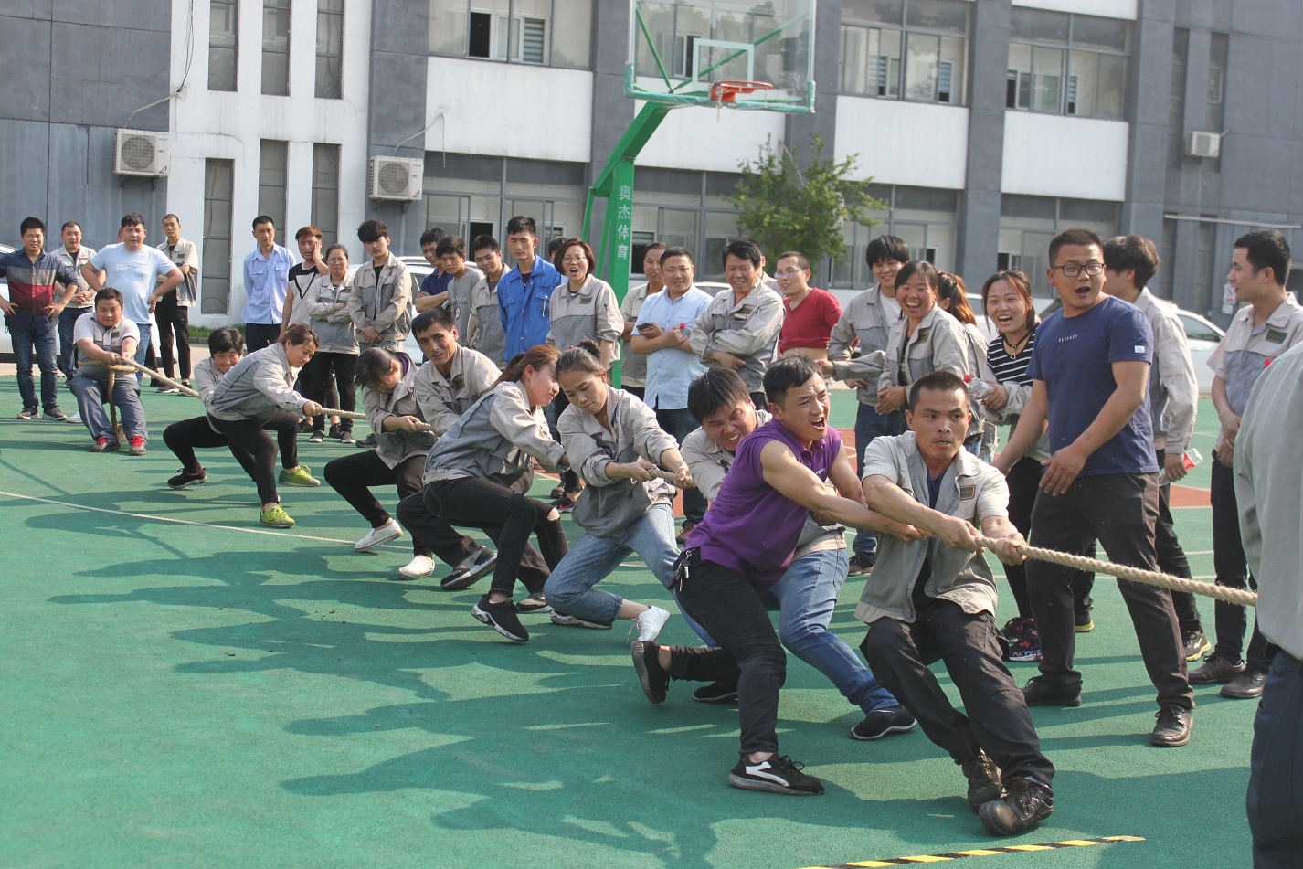 必发·bifa(中国)唯一官方网站