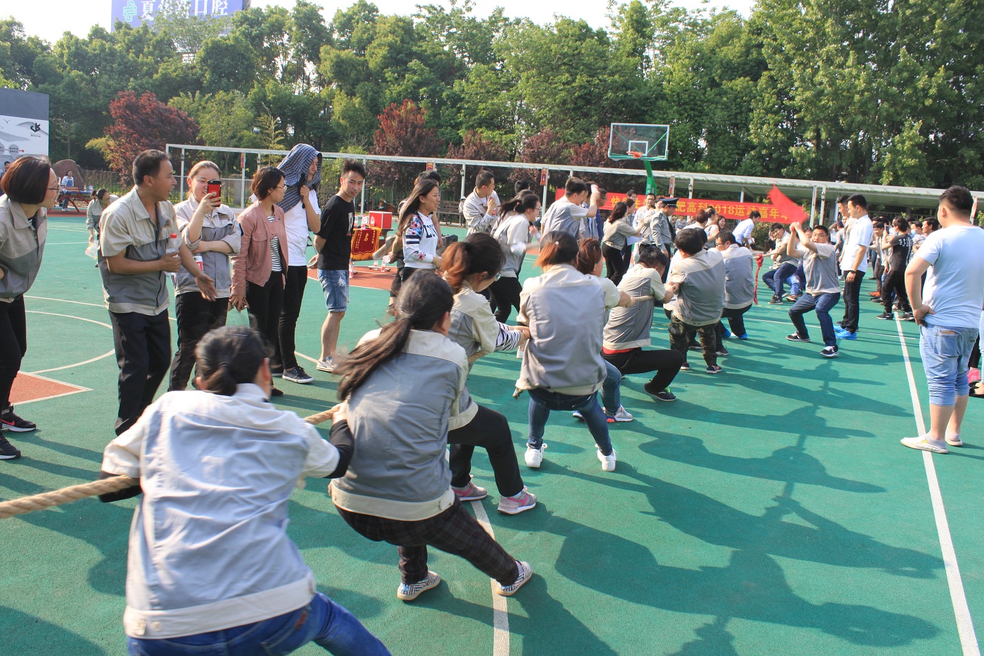 必发·bifa(中国)唯一官方网站