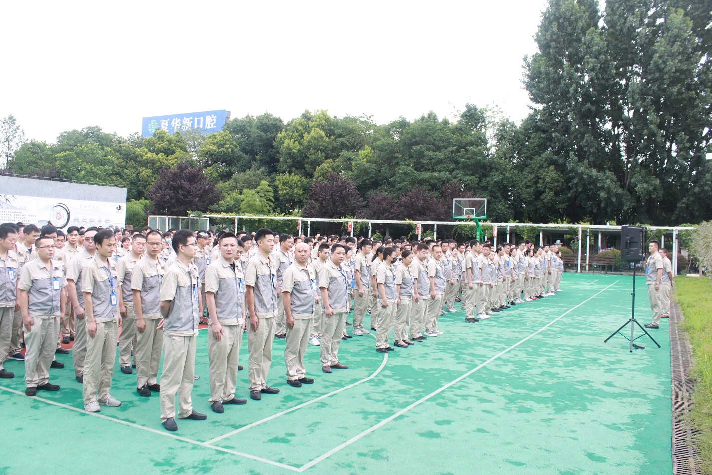 必发·bifa(中国)唯一官方网站