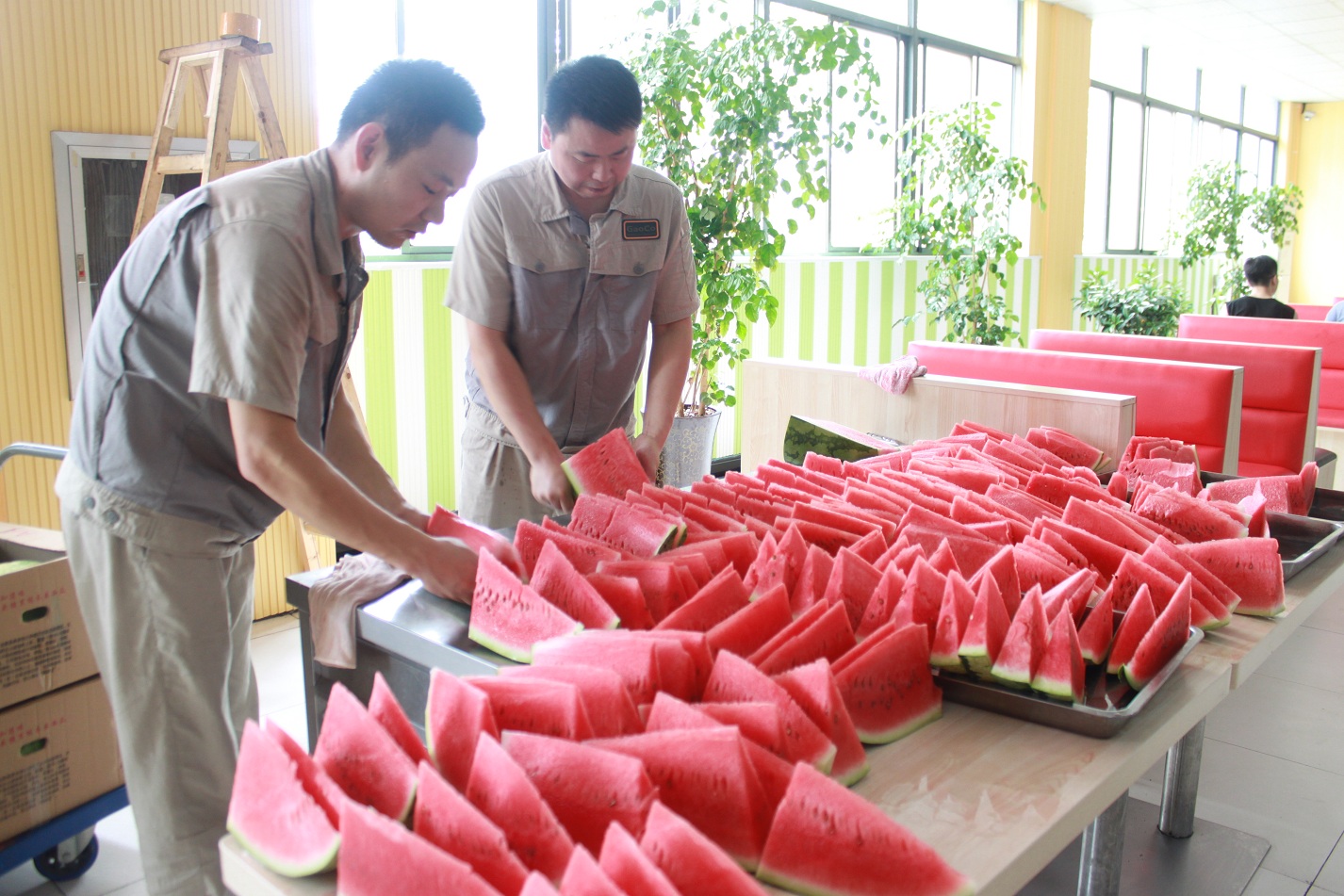 必发·bifa(中国)唯一官方网站