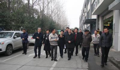 十年必发伴我行 又添春雨沐春风 ——记天津津南区党政代表团莅临合肥必发考察指导