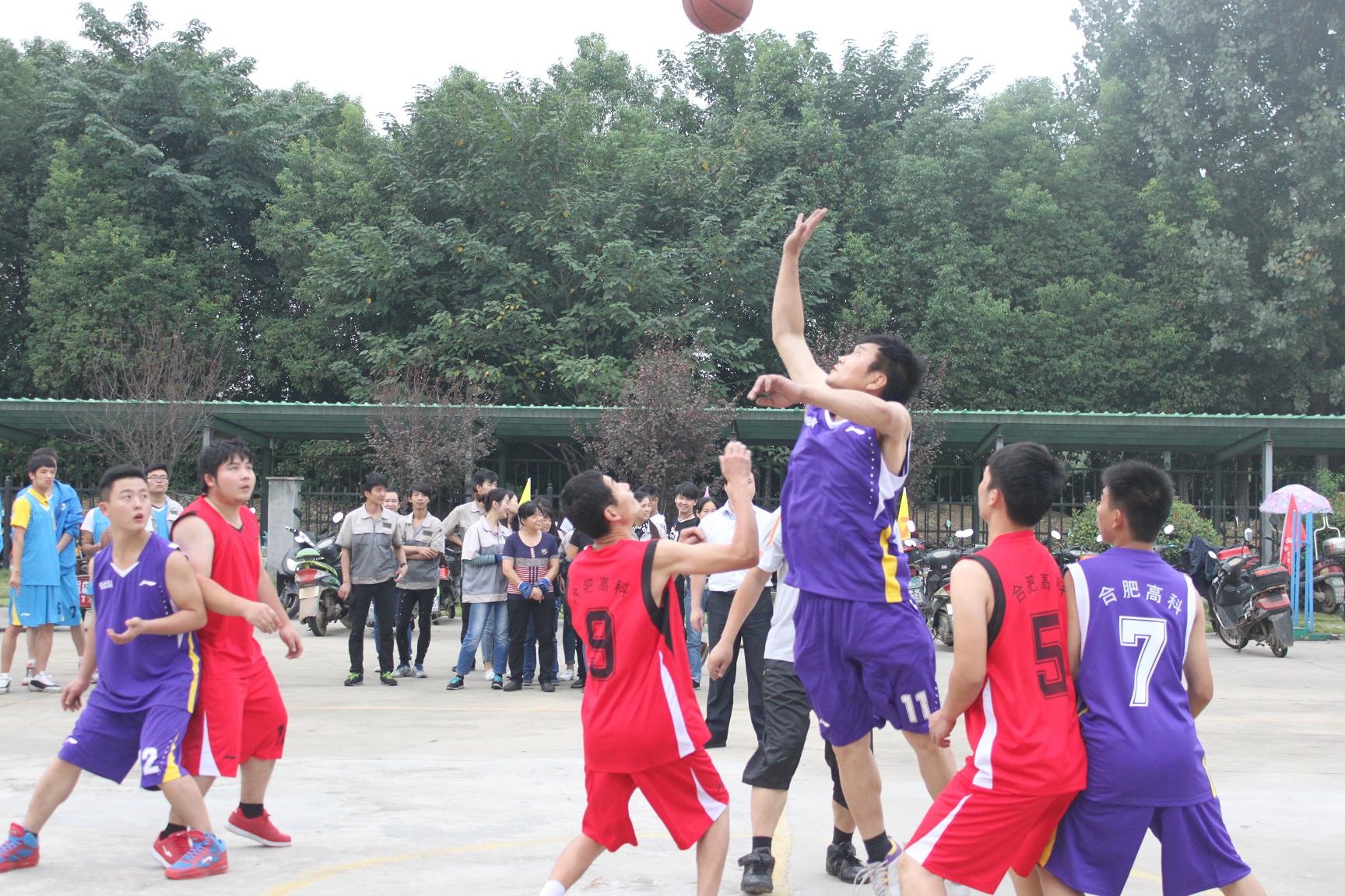 必发·bifa(中国)唯一官方网站