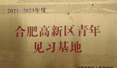 合肥必发获批建设合肥高新区青年见习基地